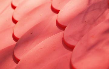 Cranhill plastic roof costs