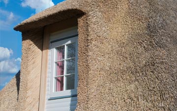Cranhill thatch roof disadvantages
