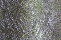 Cranhill fibreglass roof work